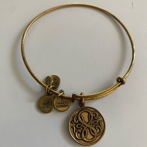 Alex and Ani Gold Charm Bangle